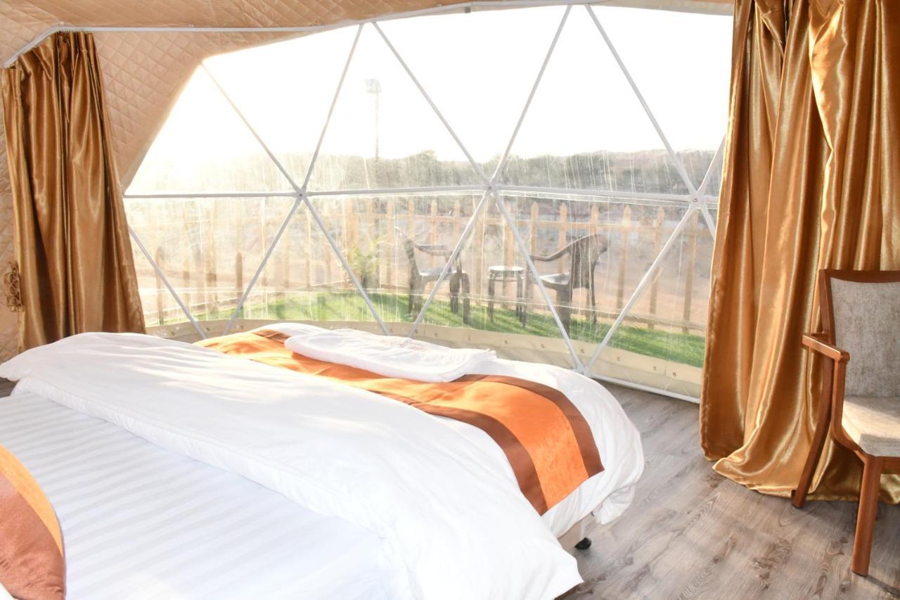 The Dunes Camping & Safari Rak Ras al-Khaimah Exterior photo